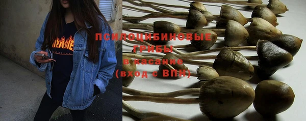 шишки Нягань