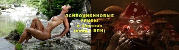 шишки Нягань