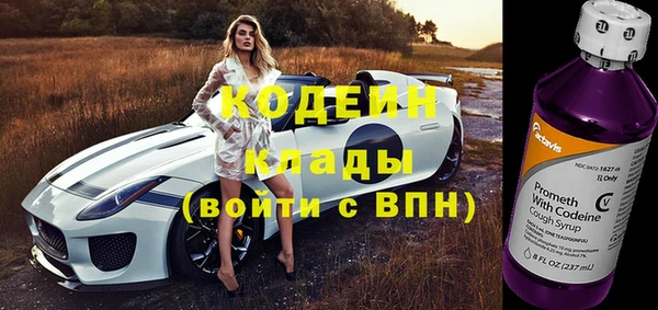 ешки Няндома