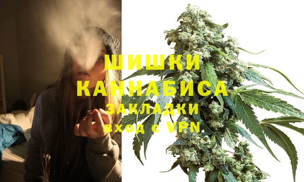 шишки Нягань