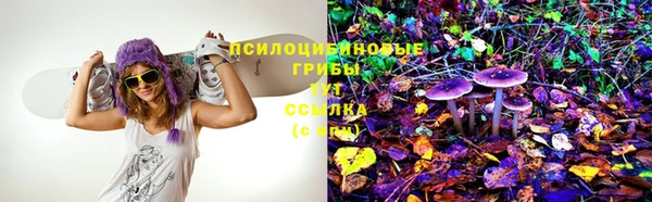 шишки Нягань