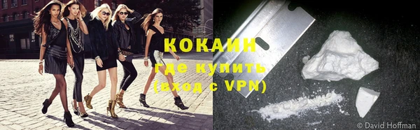 шишки Нягань